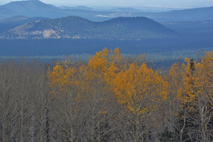 last of the autumn colors